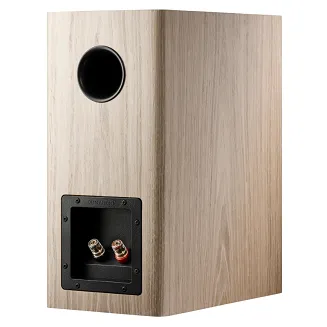 Kolumny podstawkowe Dynaudio Evoke 20 (blonde) - 5