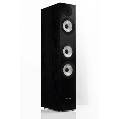 Pylon Audio Ruby 30