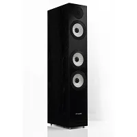 Pylon Audio Ruby 30