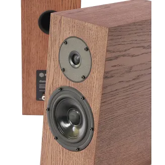 Pylon Audio Diamond Monitor 15 - 2