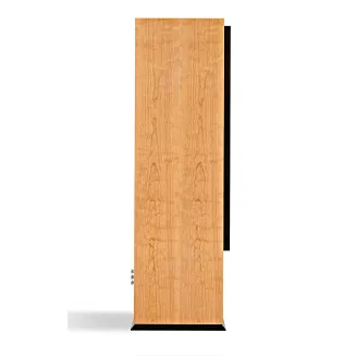 Kolumny podłogowe ATC SCM200 PSLT - 6