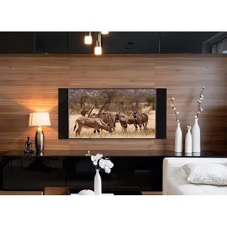 Paradigm Decor 2SC - 8