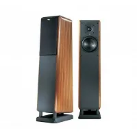 Kolumny podłogowe Chario Constellation Pegasus MKII