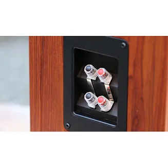 Kolumny podłogowe Triangle Celius 902 (black) - 7