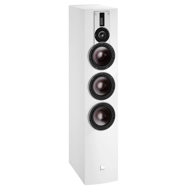 Kolumny podłogowe Dali Rubicon 8 (biały)