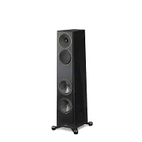 Paradigm Founder 80F (black walnut)