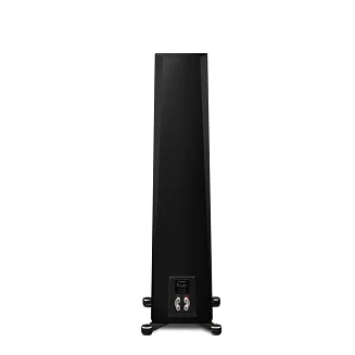 Paradigm Founder 100F (piano black) - 6