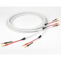 Chord Clearway 