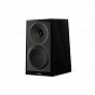Paradigm Founder 40B (black piano)