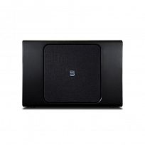 Bluesound BSW150 (Czarny)