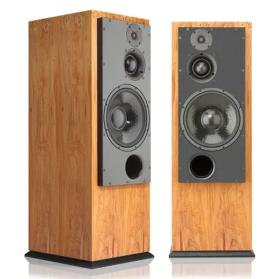 Kolumny podłogowe ATC SCM100 PSLT