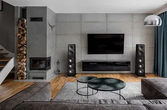 Paradigm Founder 120H (black walnut) - 7