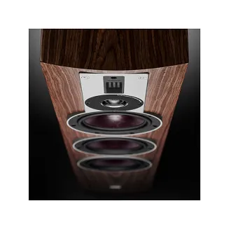 Kolumny podłogowe Dali Rubicon 8 (orzech) - 2