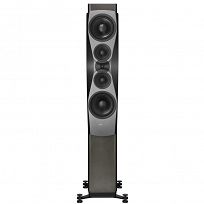 Kolumny podłogowe Dynaudio Confidence 60 (smoke)