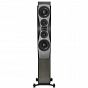 Kolumny podłogowe Dynaudio Confidence 60 (smoke)