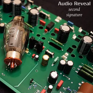 Audio Reveal Second Signature - 5