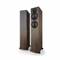 Kolumny podłogowe Acoustic Energy AE309 MK2