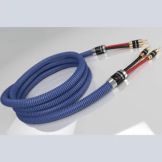 Przewód głośnikowy Ricable Invictus Speaker Reference - 2