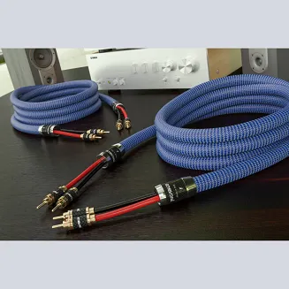 Przewód głośnikowy Ricable Invictus Speaker Reference - 3