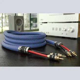 Przewód głośnikowy Ricable Invictus Speaker Reference - 4