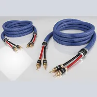 Przewód głośnikowy Ricable Invictus Speaker Reference