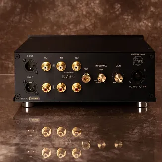 Przedwzmacniacz gramofonowy Euterpe AA03 (Art Analog) - 4