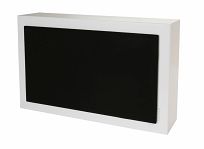 DLS Flatsub 8.2 Biały