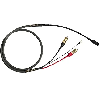 Cardas Audio Iridium Phono - 2