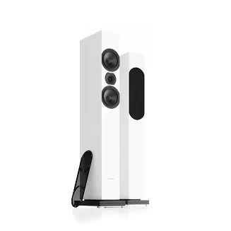 Kolumna podłogowa Pylon Audio Zirkon 20 - 3