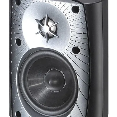 Martin Logan ML-45AW (czarny)