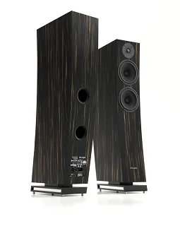 Pylon Audio Jasper 25 mkII Active (orzech amerykański) - 2