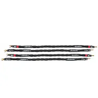 Synergistic Research SRX Slim Line SC