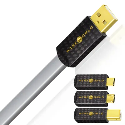 Przewód USB audio WireWorld PLATINUM STARLIGHT 8 USB2.0 C to A (P2CA)
