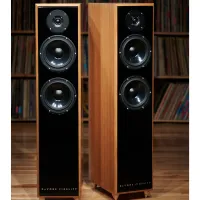 Kolumny podłogowe Devore Fidelity Gibbon Super Nine