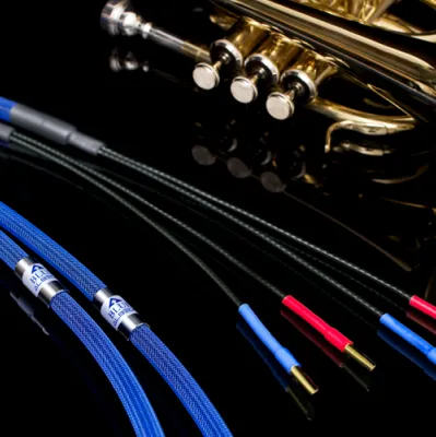 Kabel głośnikowy Albedo Blue Speaker