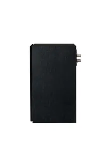 Paradigm Founder 70LCR (black walnut) - 9