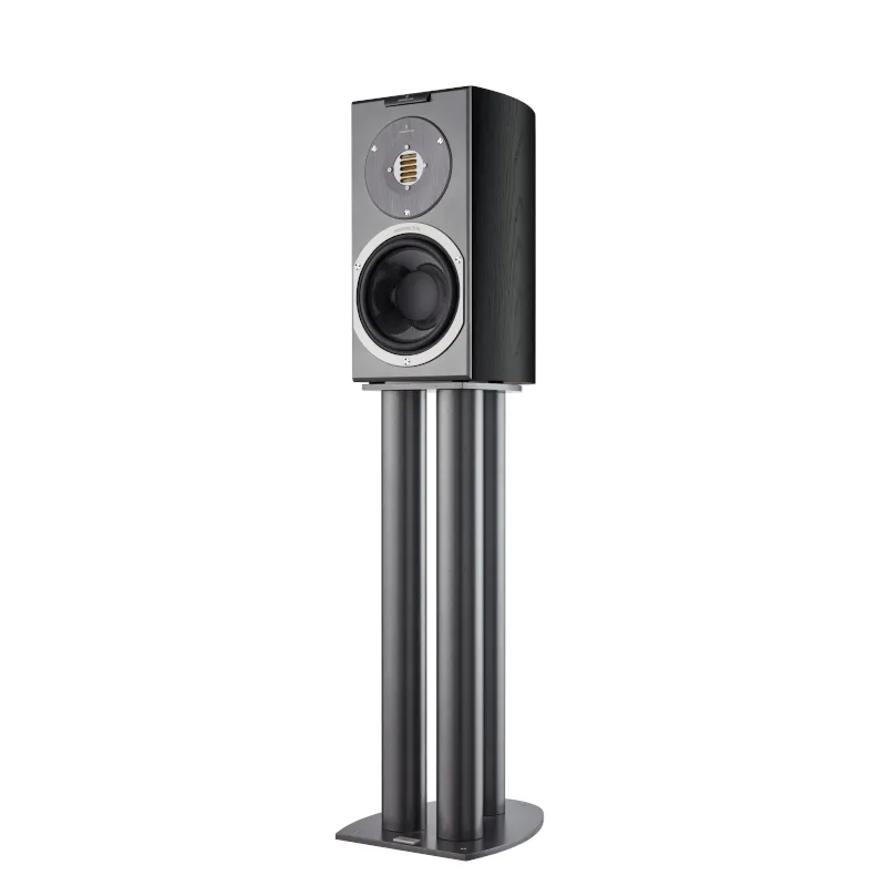 Kolumny podstawkowe Audiovector R 1 Avantgarde (black ash)