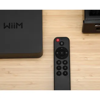 Odtwarzacz sieciowy WiiM Pro+ (Pro Plus) - 9