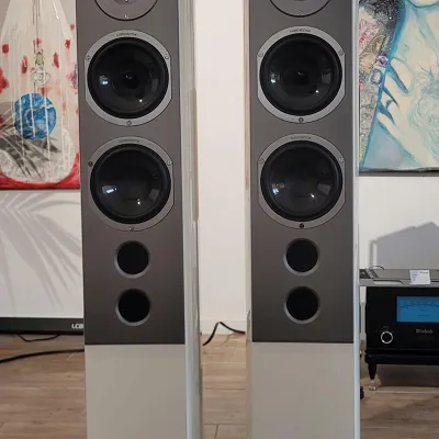 Kolumny podłogowe Audiovector R 6 Avantgarde - outlet