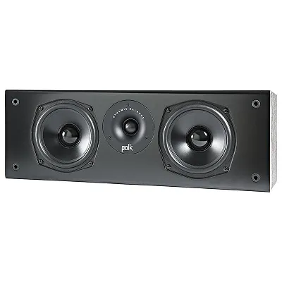 Polk Audio T30