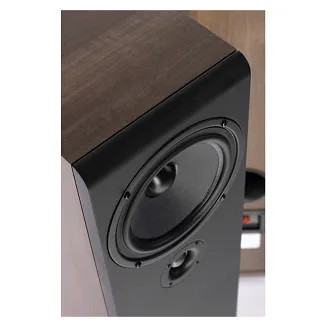 Pylon Audio Opal 20 (orzech) - 3
