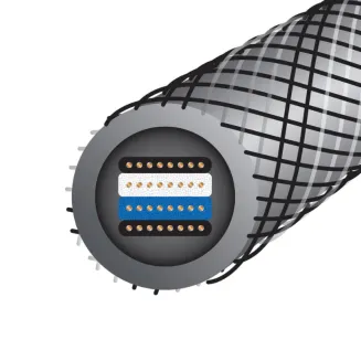 Zworki głośnikowe WireWorld SILVER ECLIPSE Biwire Jumpers JUMPSES10 - 2