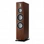 Audiovector QR 7 SE (orzech)