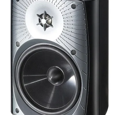 Martin Logan ML-65AW (czarny)