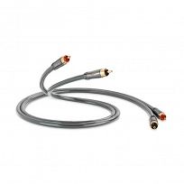 QED Performance Audio 40