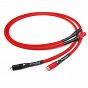 Chord Shawline RCA