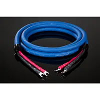 Kabel głośnikowy Cardas Audio Clear Speaker