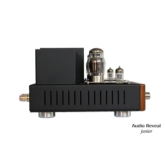 Audio Reveal Junior - 2