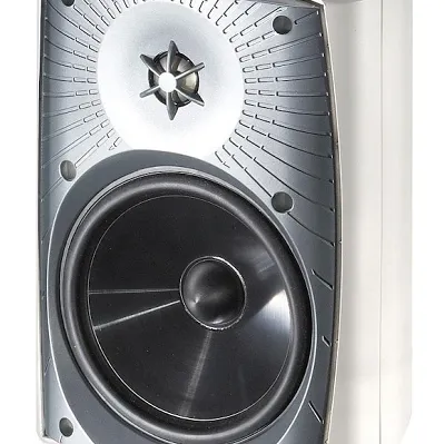 Martin Logan ML-65AW (biały)