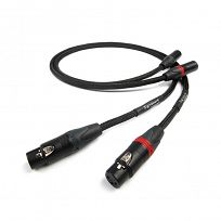 Chord Signature XLR